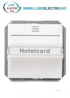5TG4820 ECONOMIZOR CAMERA HOTEL CU CARTELA SI LED CULOARE ALB TITAN DELTA LINE